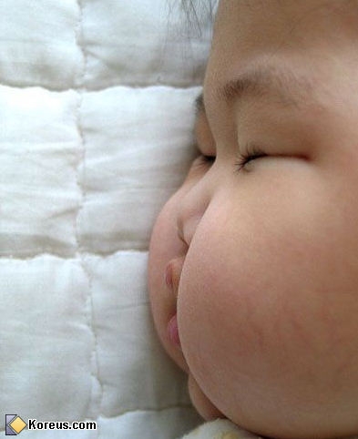 12image-insolite05.jpg