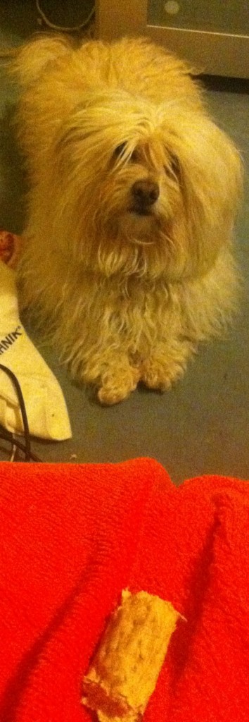 rencontrer gens chartres