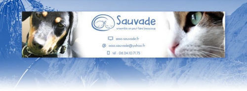 SAUVADE.jpg