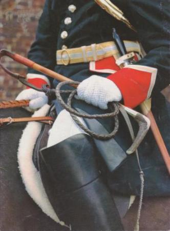 1981115406.jpg