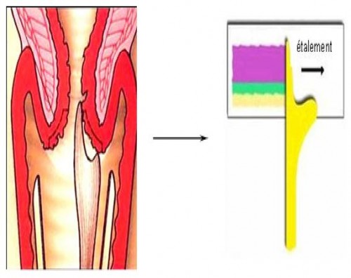 figure 1.jpg