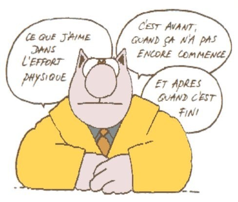 humour-lechat-sportif.jpg