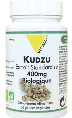 kudzu.JPG