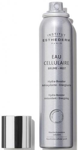 NEW_Esthederm_Brume_d_Eau_Cellulaire_100ml_700x.jpg