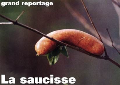 aero_1114209725_la_saucisse.jpg