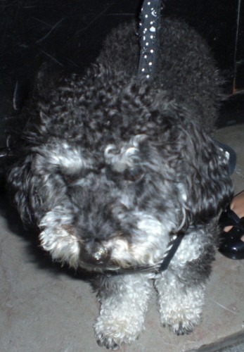 CIMG0244.JPG