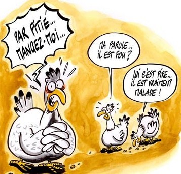 poulets.jpg