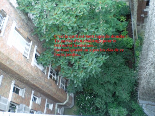 CIMG0166.JPG